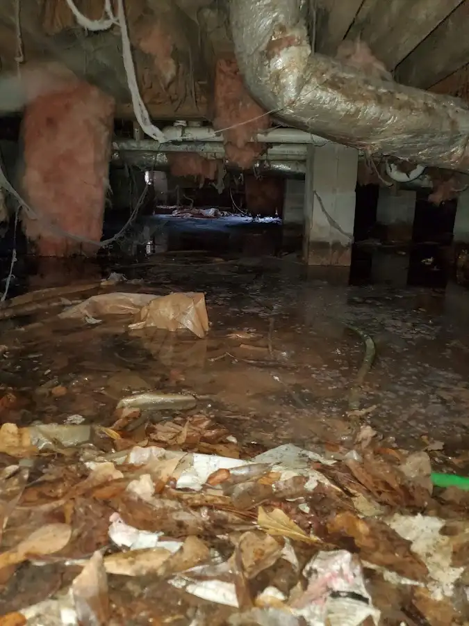 Crawl space flood assessment for Commercial Water Damage Restoration in New Hope